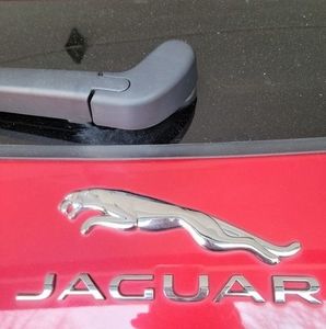 Meet your Posher, Bev